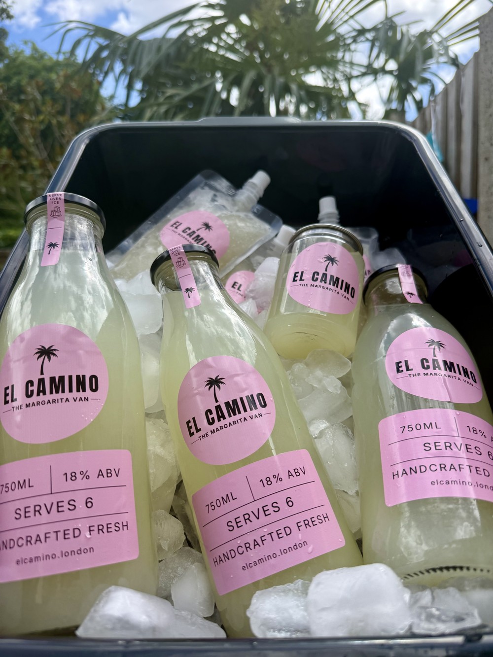 El Camino frozen margarita pouches on ice